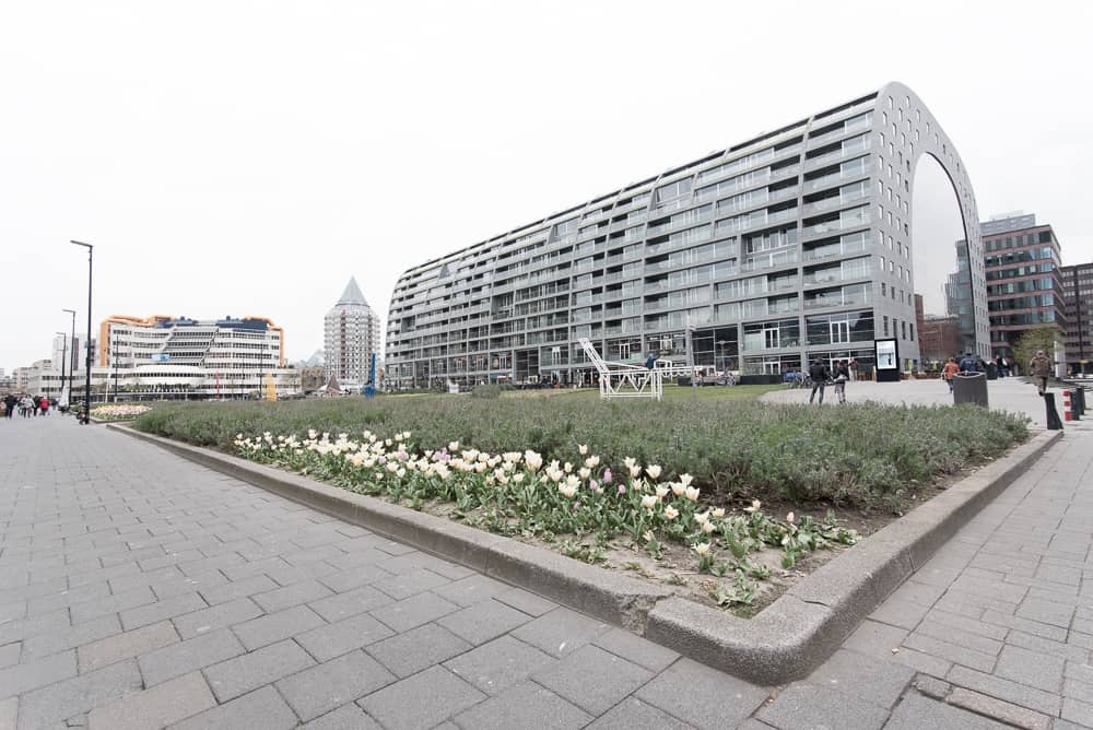 Rotterdam in un giorno architettura contemporanea e design 