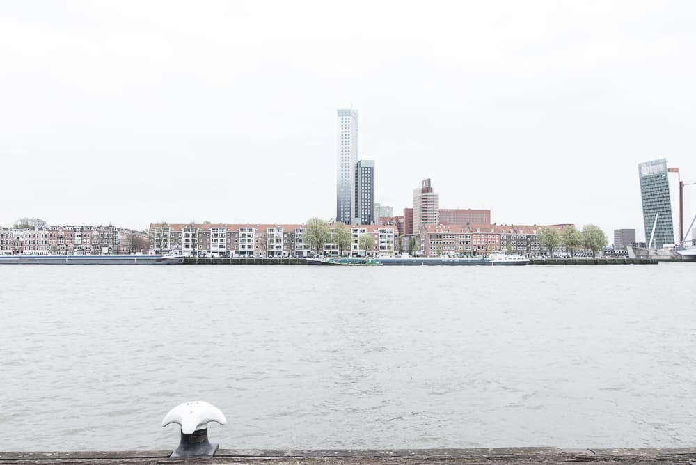 Rotterdam in un giorno architettura contemporanea e design 