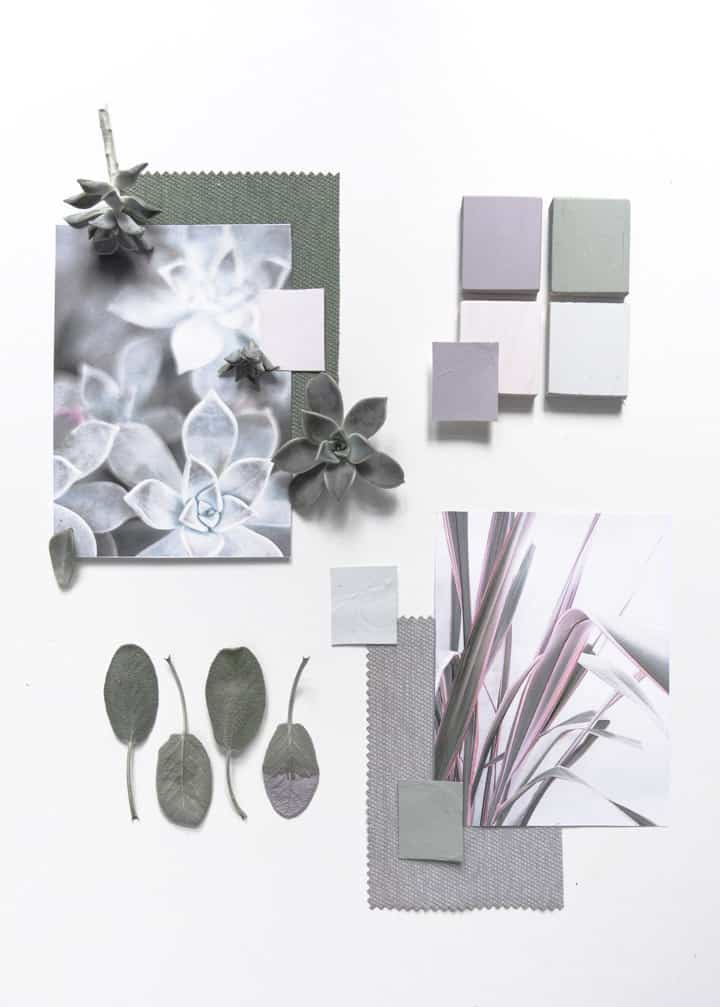 palette di colori Wilson&Morris moodboard succulente piante grasse interni casa