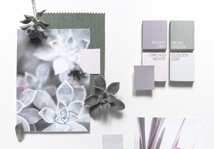 palette di colori Wilson&Morris moodboard succulente piante grasse interni casa