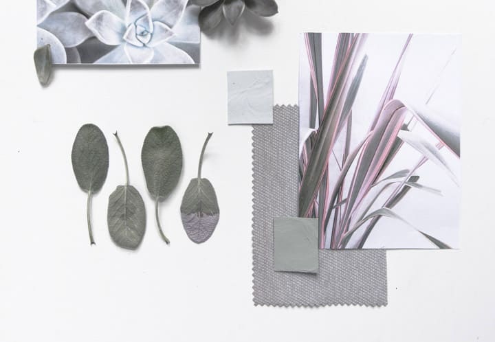 palette di colori Wilson&Morris moodboard succulente piante grasse interni casa