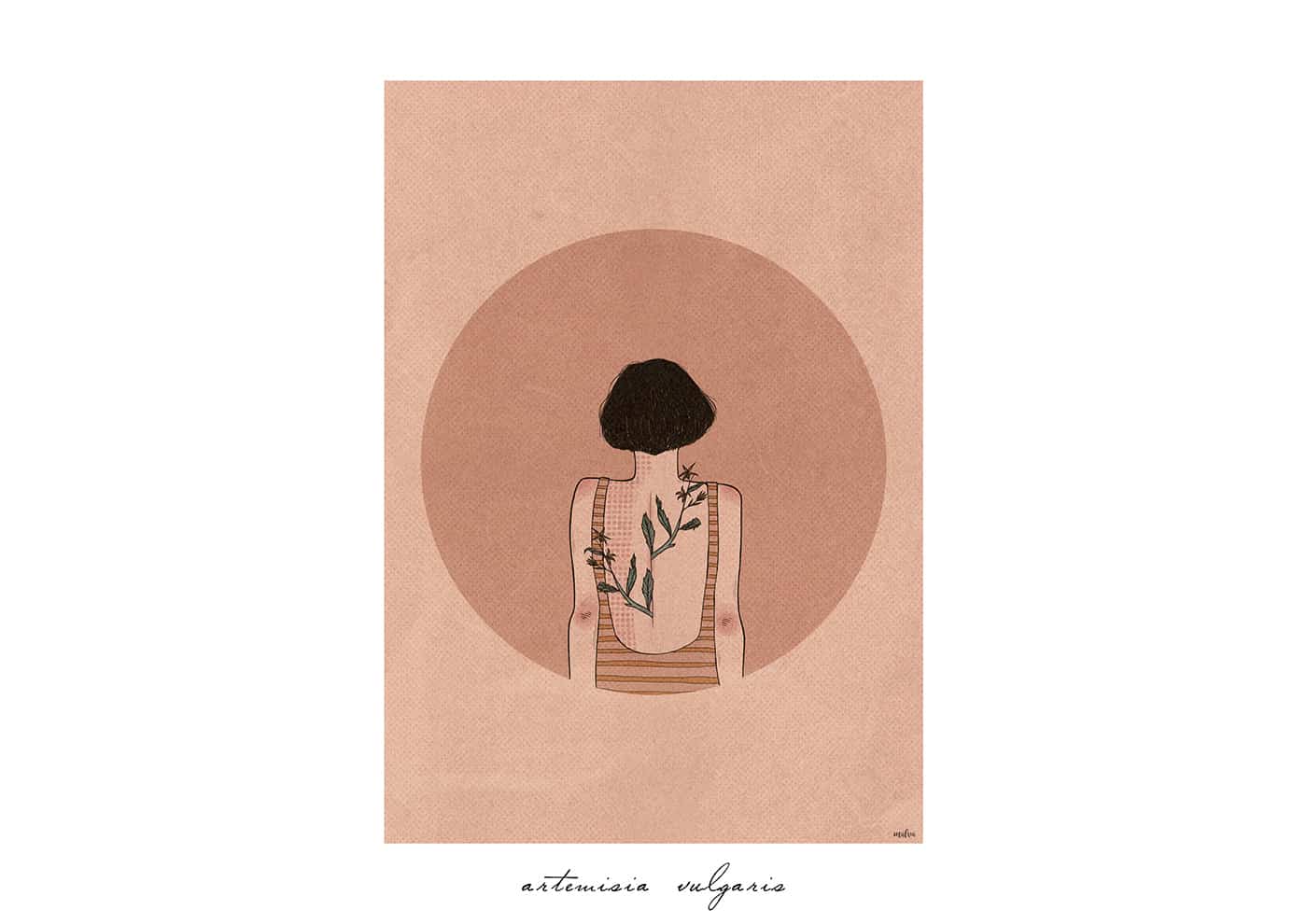 interview Malva illustration Torino Flora