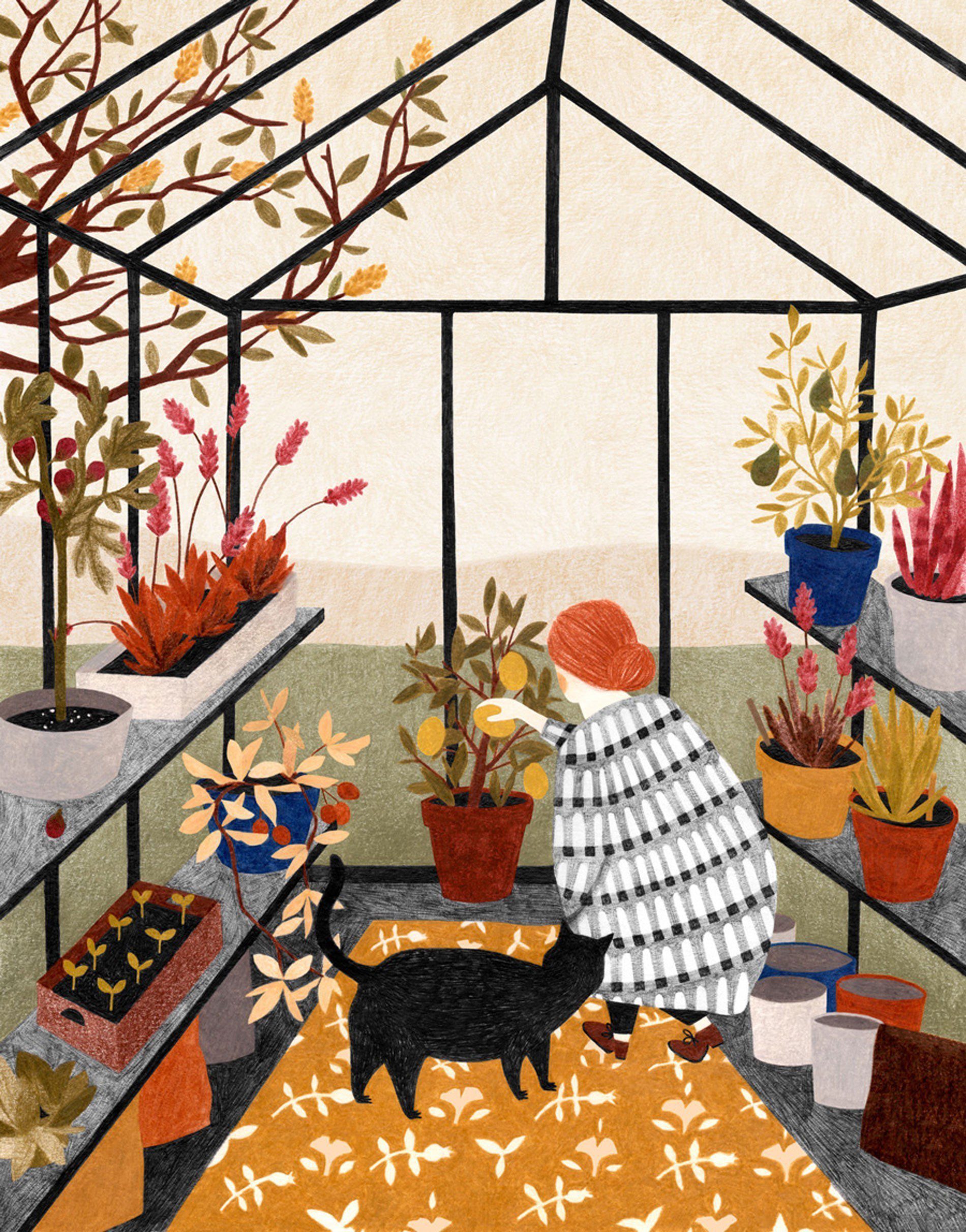 Autumn illustrations mood Liekeland