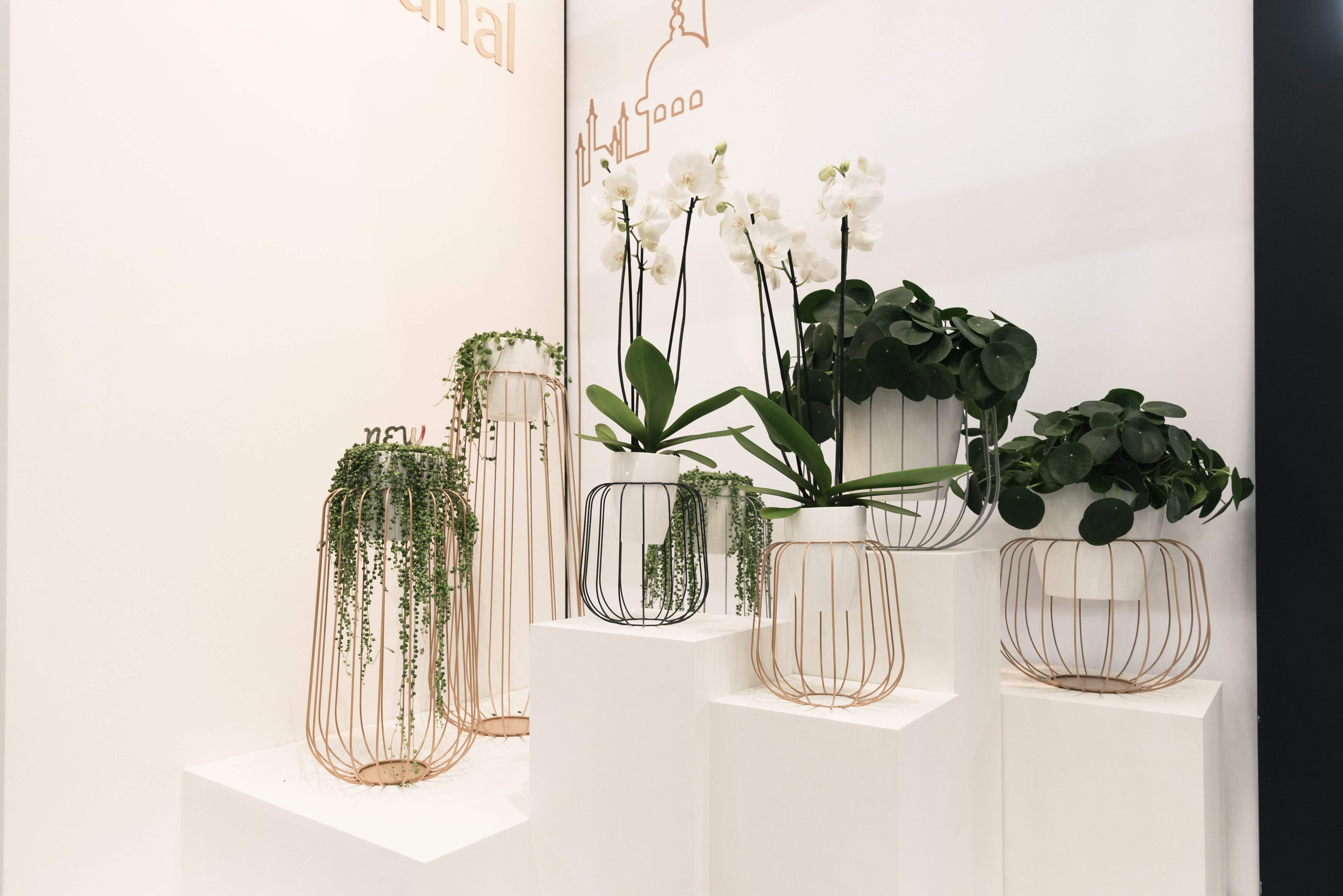 design vases and gardening - best of Spoga+Gafa 2018