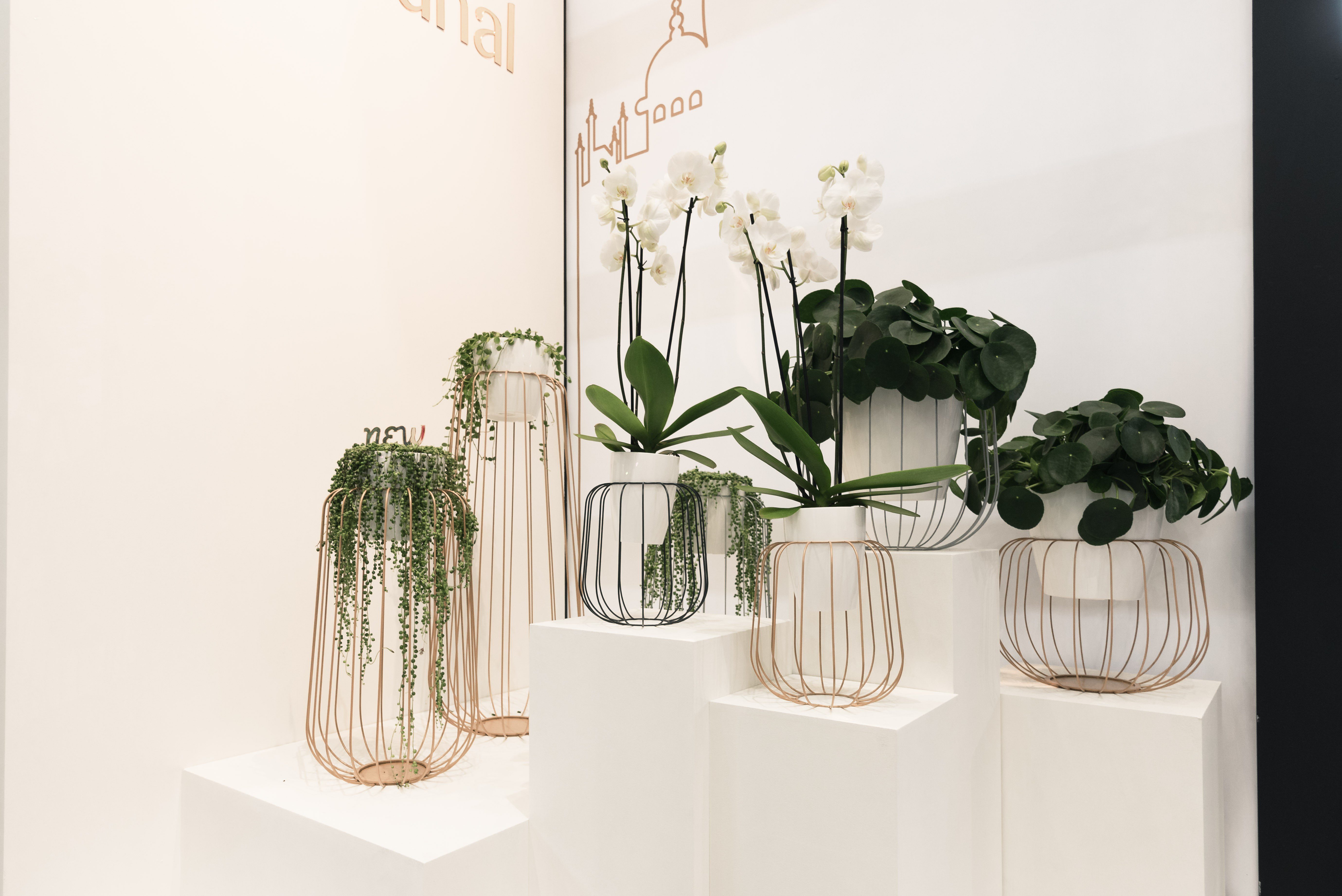 Vasi di design e giardinaggio - best of Spoga+Gafa 2018