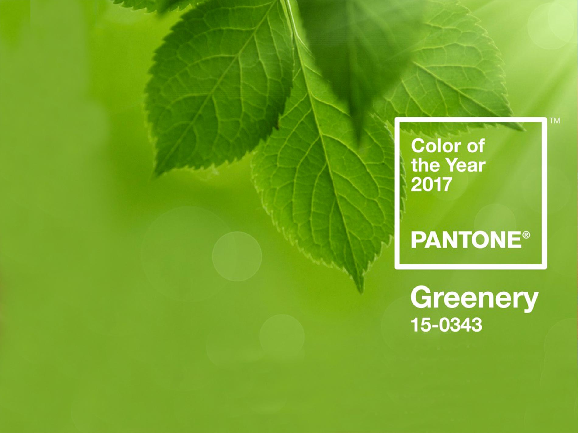 pantone colour meaning 