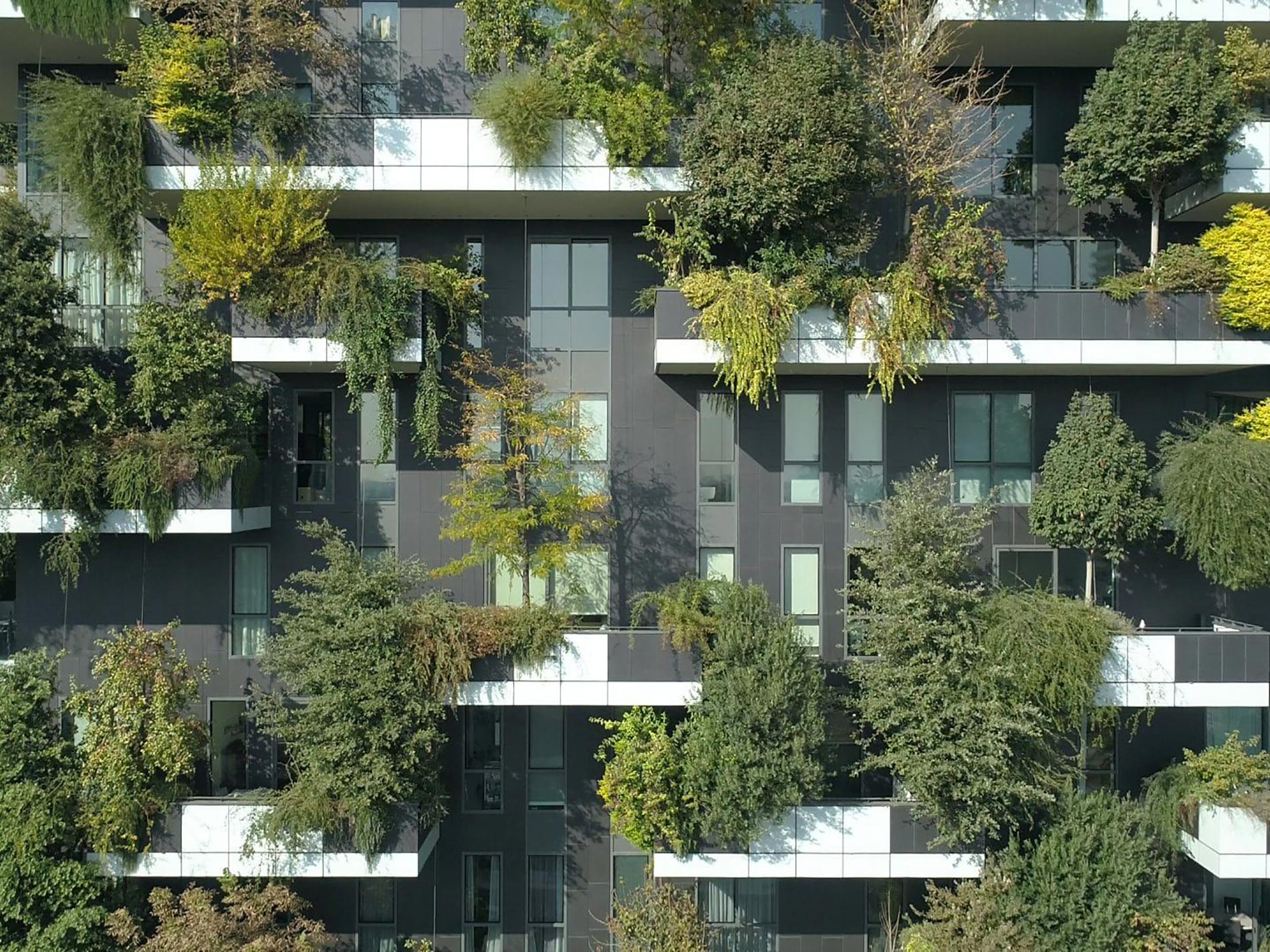 trend outdoor 2020