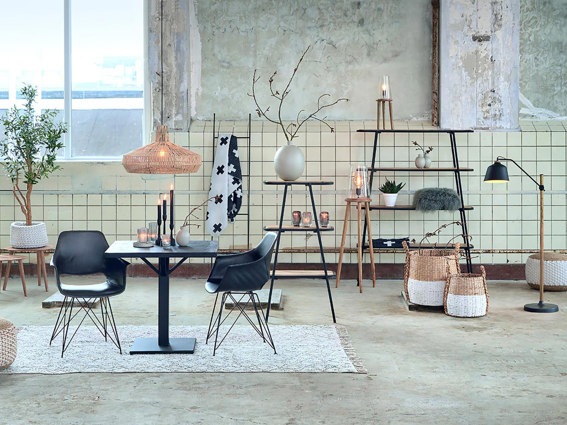 best of homi light and living