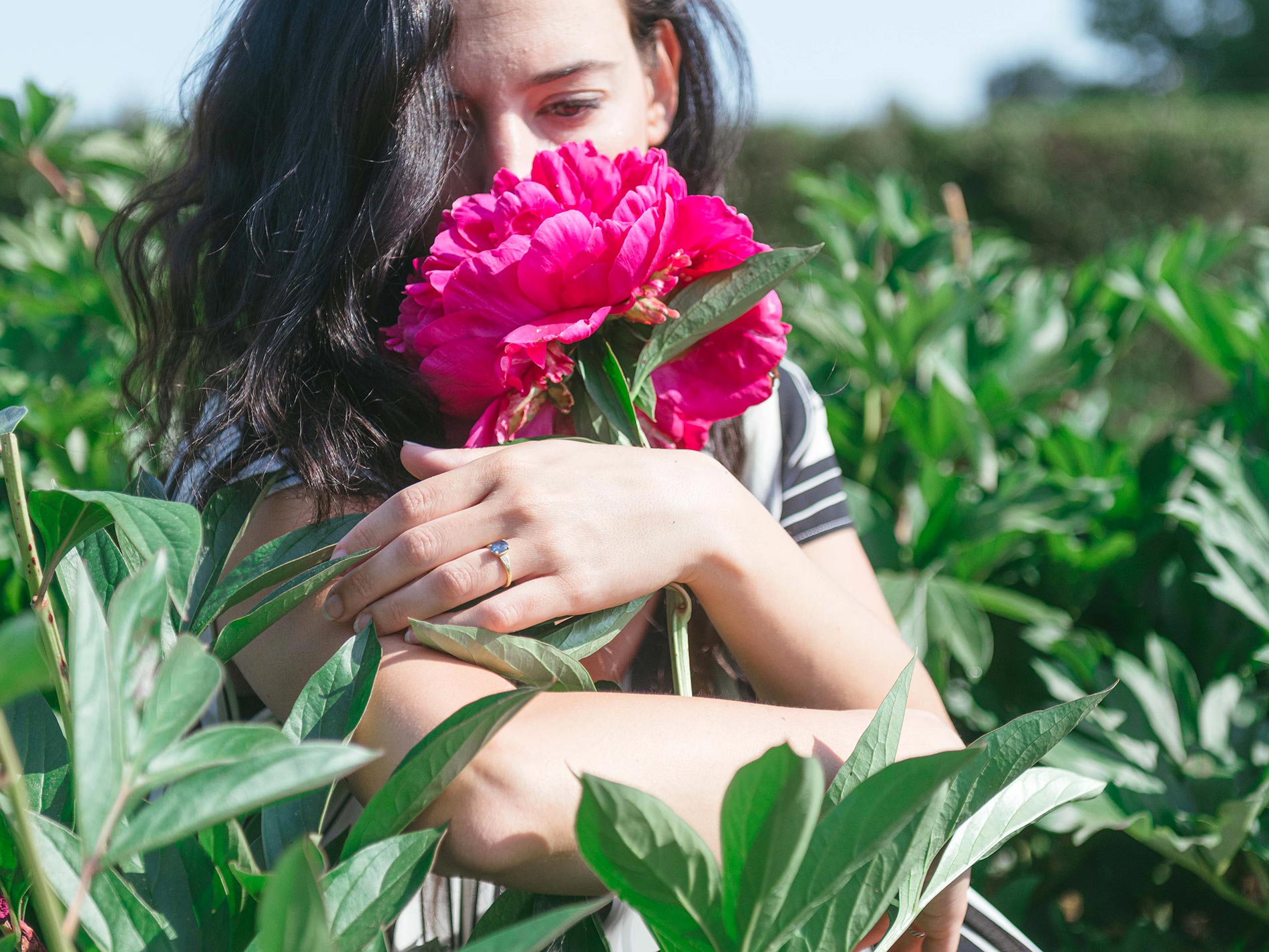 peonia pianta consigli e cura 