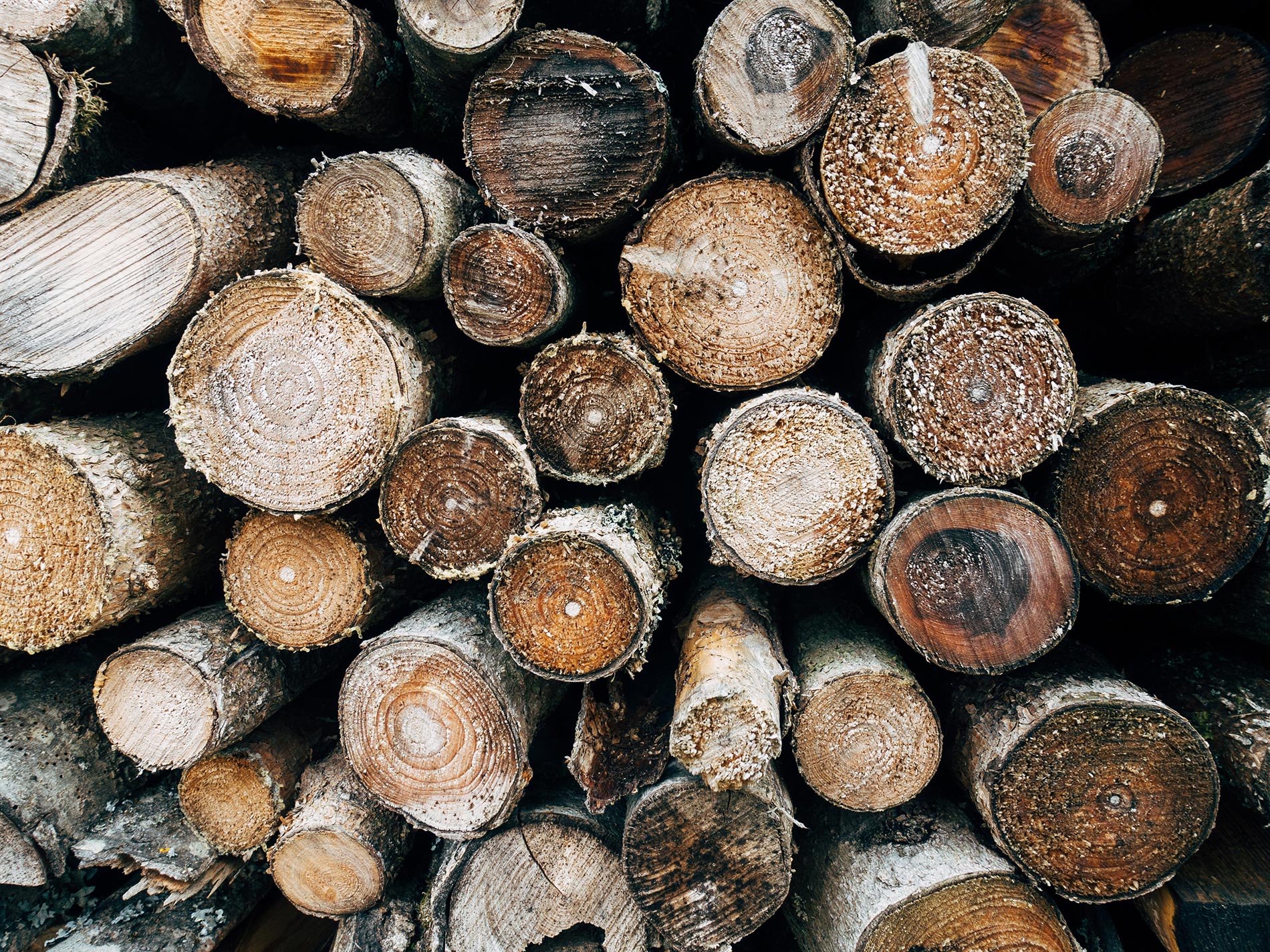 stufa a pellet ecologica